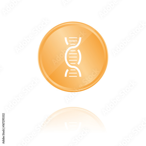 DNA Bronze Münze mit Reflektion