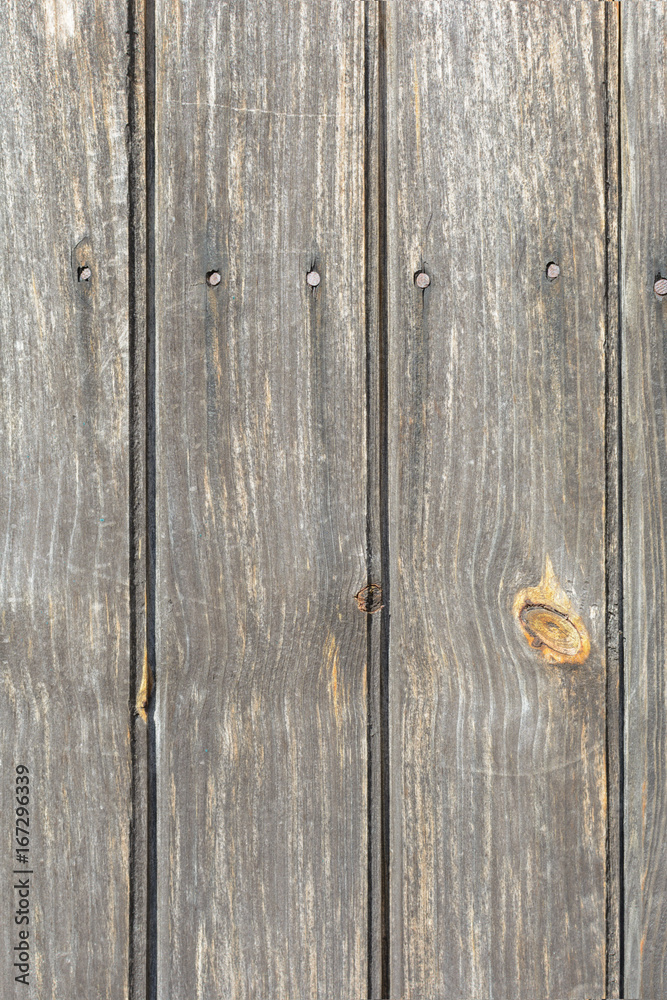 A background of wooden vertical white boards with a nail A background of wooden vertical white boards with a nail