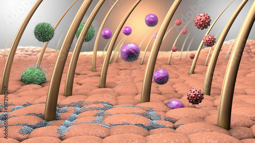 3d illustration of viruses and bacteria entering the human skin photo