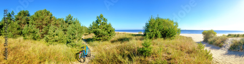 Forest protecting beaches of the Baltic Sea © tilialucida