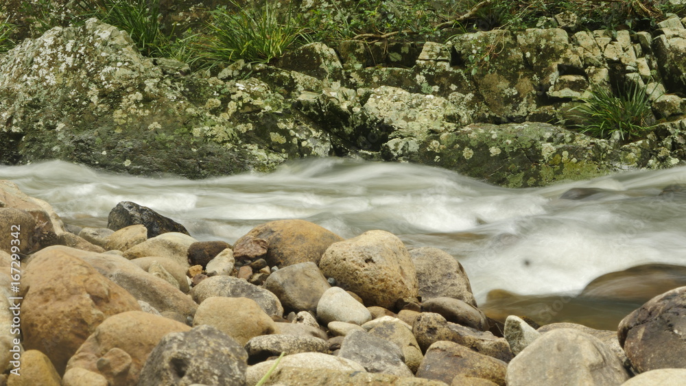 rainforest river with flowing stream rainforest river with flowing stream