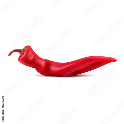 Vector realistic red hot chili pepper on white background.