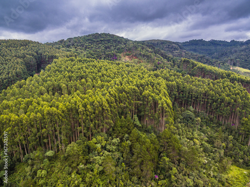 Drone aerial view from forest landscape at Monte Verde, Minas Gerais, Brazil.