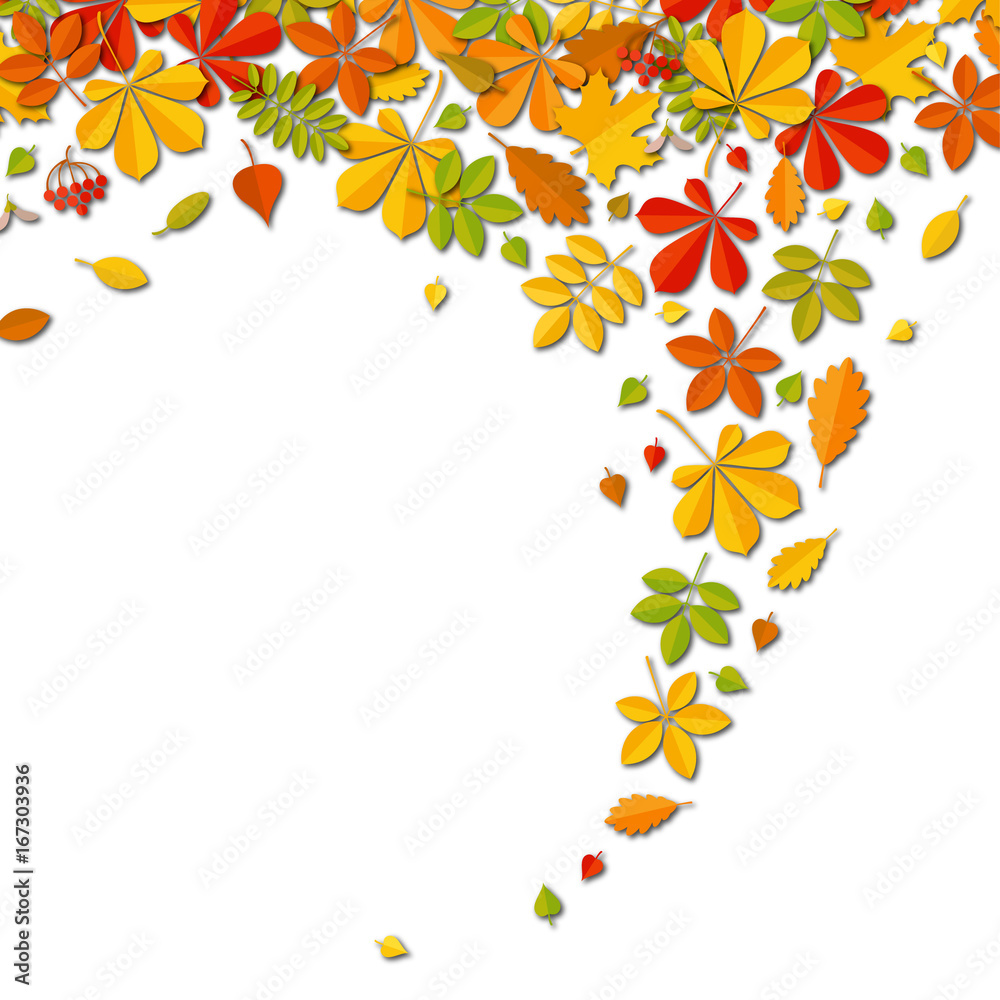 Autumn falling leaf background with place for text isolated on white. Autumn falling leaf background with place for text isolated on white.