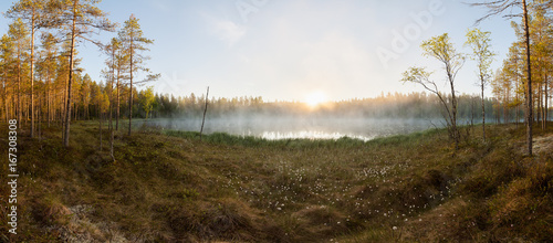 Small forest lake at sunrise