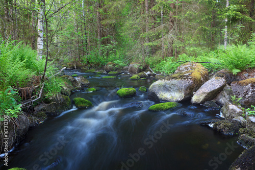 Small stream in forest