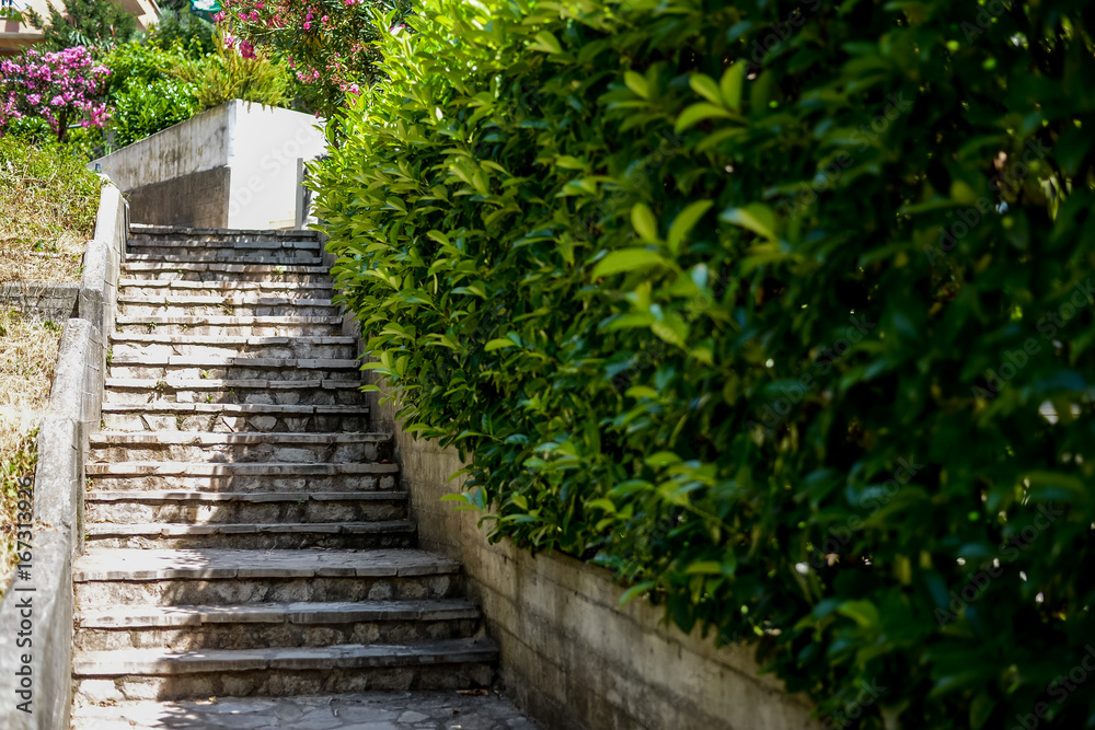 Countryside staircase in the garden Countryside staircase in the garden