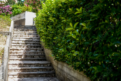 Countryside staircase in the garden © areporter