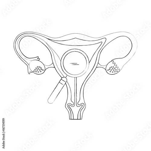 Female reproductive organ with magnifying glass vector illustration design