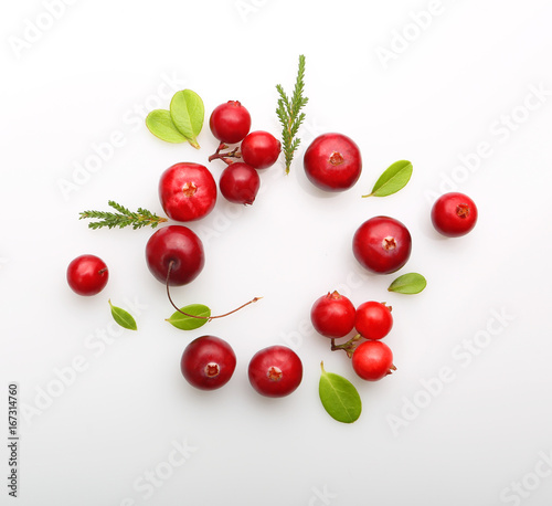 Fresh forest berry cranberry