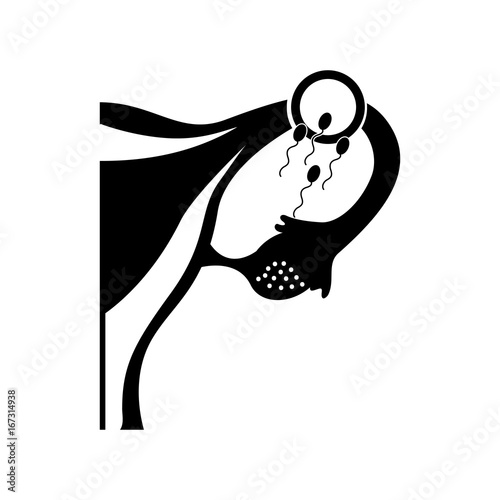 Female reproductive organ with Spermatozoa vector illustration design