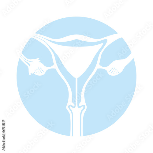 Female reproductive organ icon vector illustration design