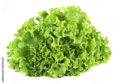Salad leaf. Lettuce isolated on white background.