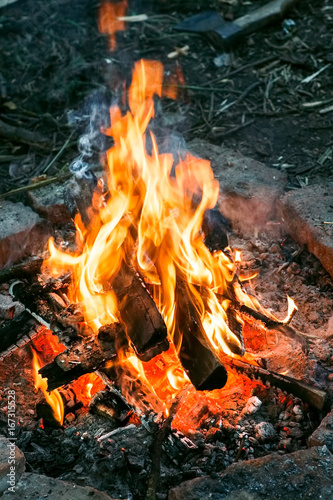 Closeup shot of burning fire with hot red embers in it, selective focus, vertical