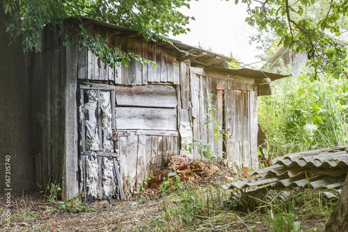 Old gray wooden shed near tall green tree, warm summer day