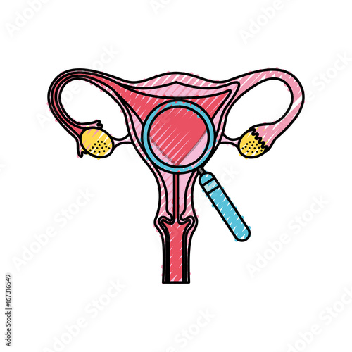 Female reproductive organ with magnifying glass vector illustration design