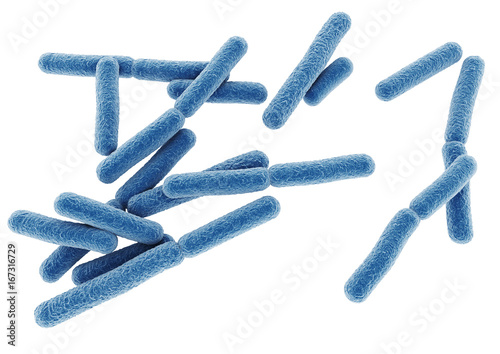 bacteria.
3d rendering of a bacteria.