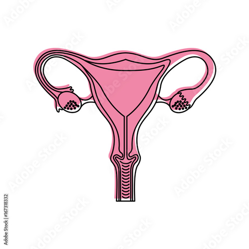 Female reproductive organ icon vector illustration design