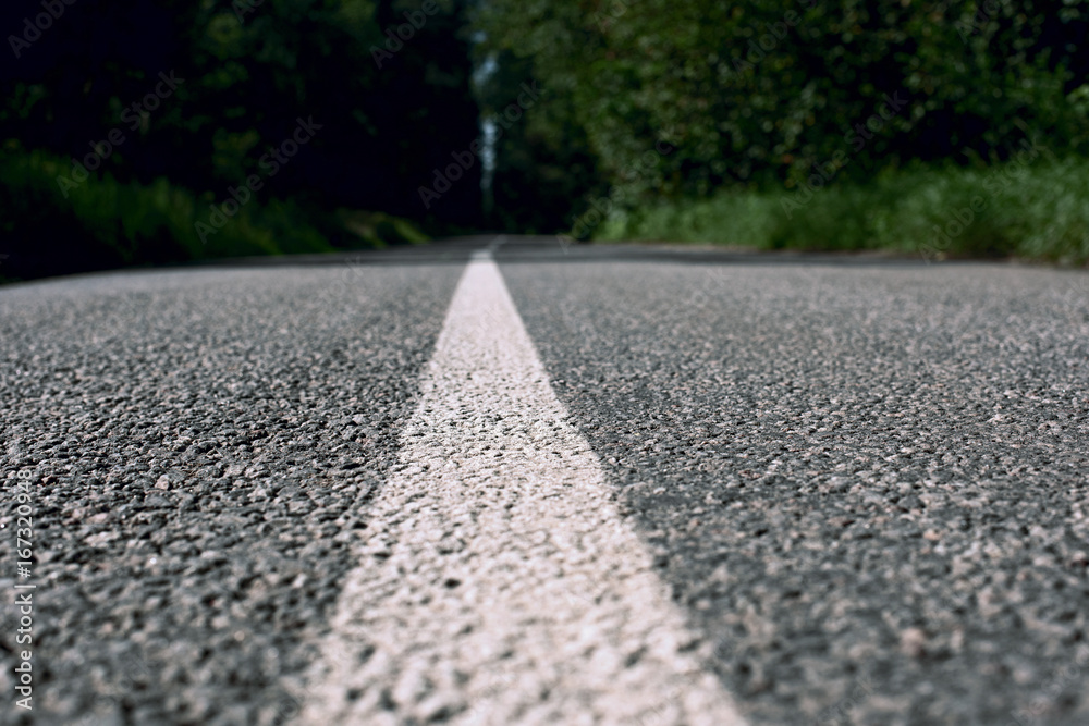 Road markings on asphalt in the forest close