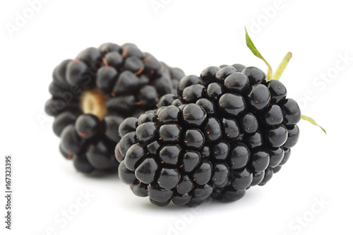 Blackberry fruit on white