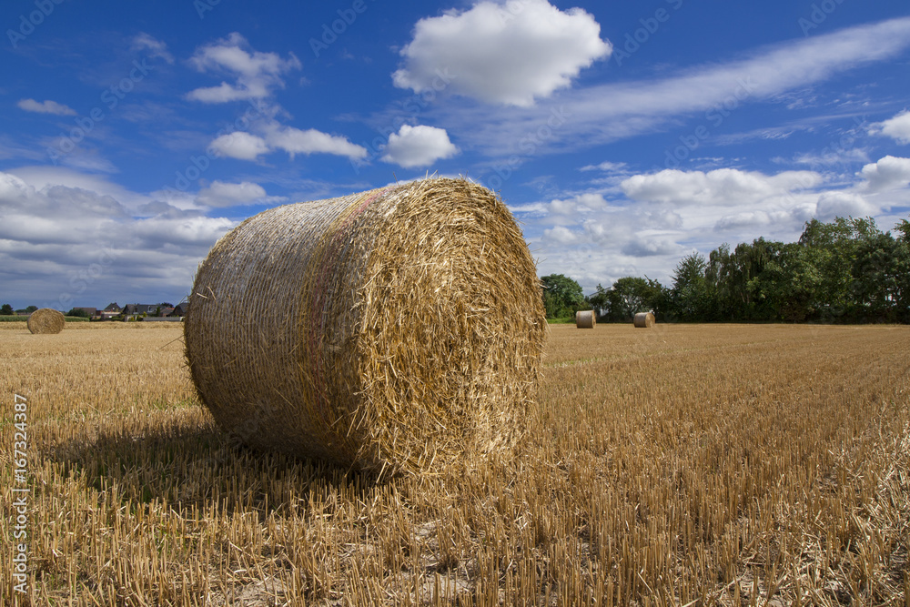 Strohballen nach der Ernte im Sommer auf einem Feld