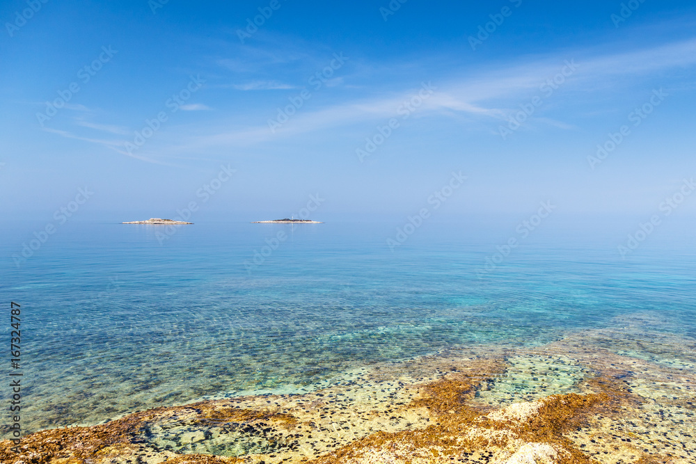 Two small islands in green lagoon near Porec town on the Adriatic sea coast, Croatia, Europe.