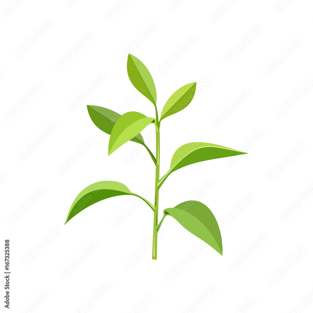 Plant with green leaves. Ecology concept. Vector illustration on white background.