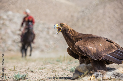 Kyrgyzstan Hunting Culture