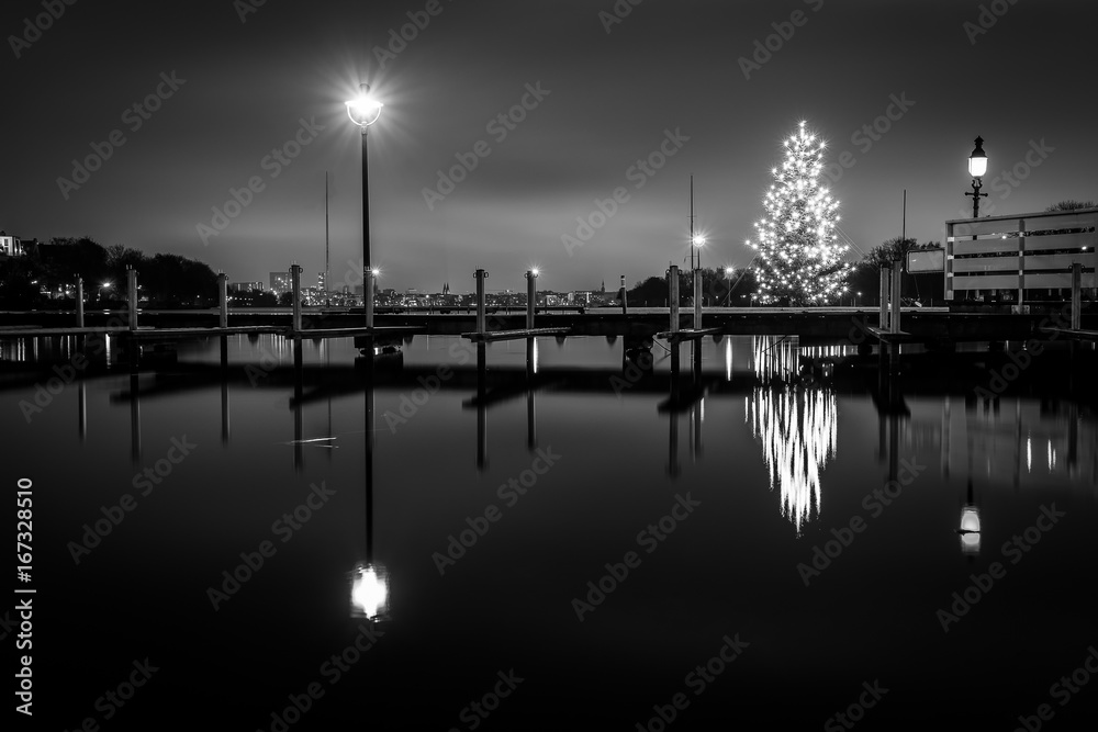 Fototapeta premium Christmas tree on lake in black and white