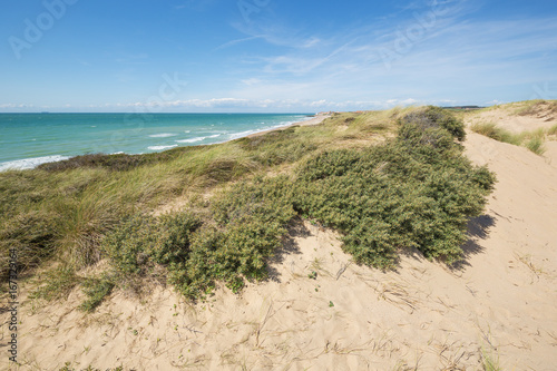 Canvas Print Dune landscape near Audresselles with beach at the Opal Coast