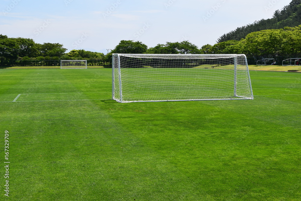 Fototapeta premium サッカー ゴールネット