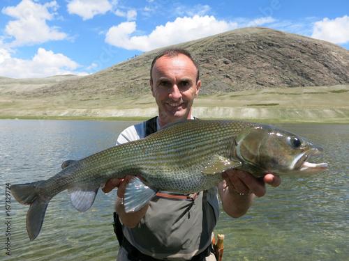 Fishing - monster grayling from west Mongolia