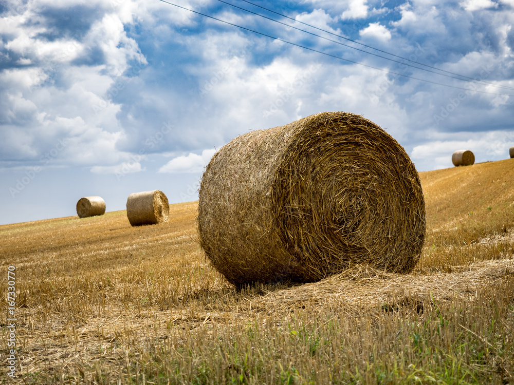 Summer Field with Hay Bales. under storm clouds.Agriculture Concept