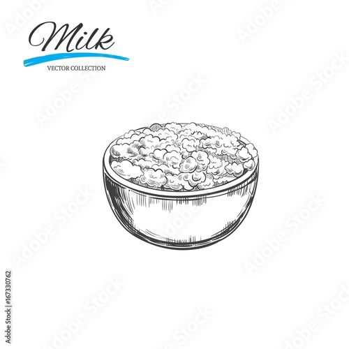 Curd. Vector hand drawn