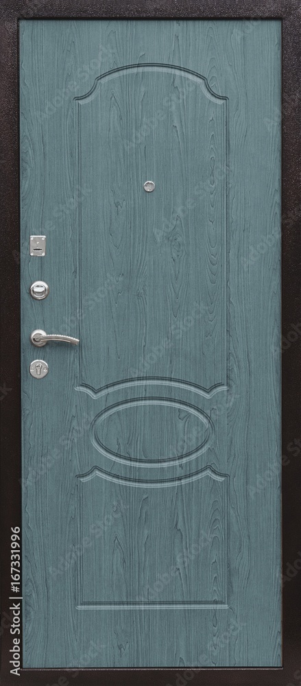 Entrance door (metal door) Entrance door (metal door)