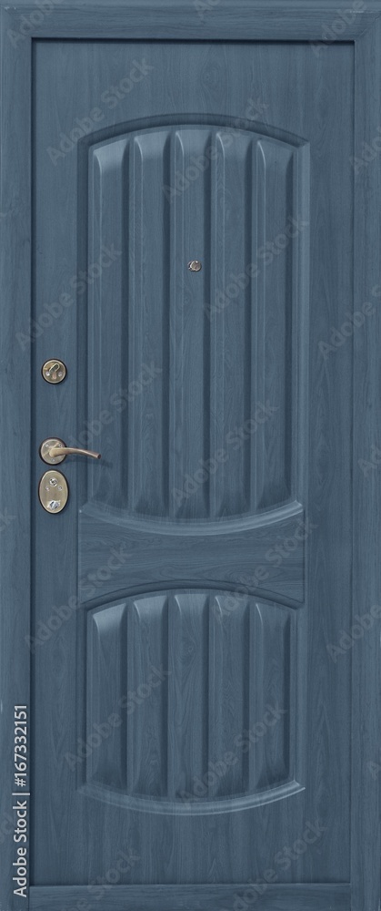 Fototapeta premium Entrance door (metal door)