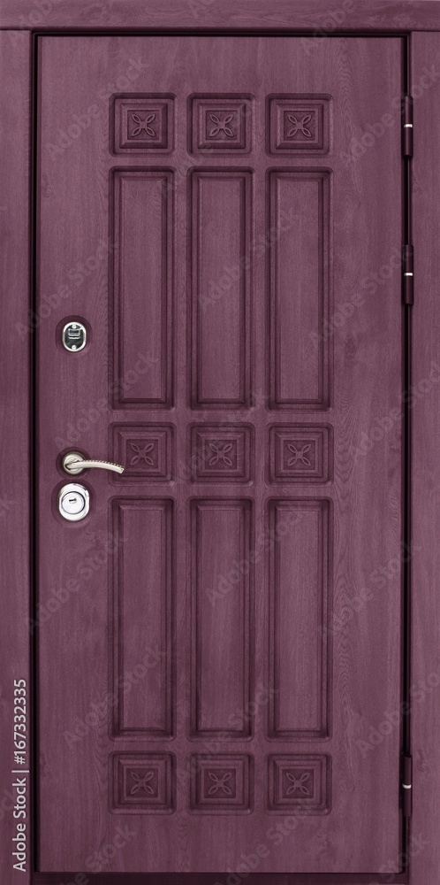 Fototapeta premium Entrance door (metal door)