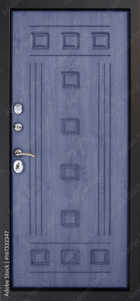Fototapeta premium Entrance door (metal door)