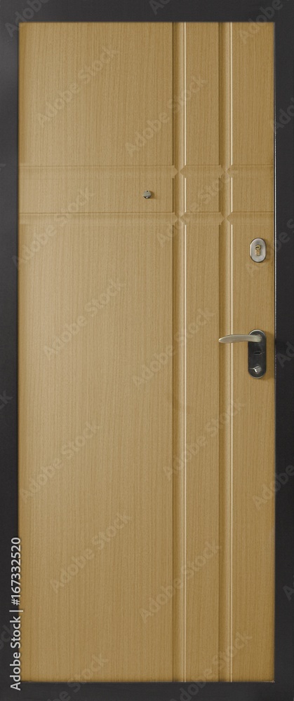 Obraz premium Entrance door (metal door)