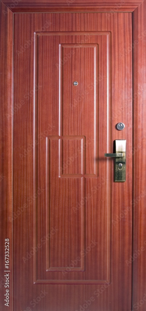 Entrance door (metal door) Entrance door (metal door)