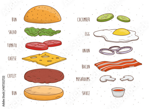 Hamburger ingredients separately. Bun, salad, tomato, cheese, cutlet, egg, bacon, mushrooms, onion, ketchup. Colorful hand drawn vector illustration.