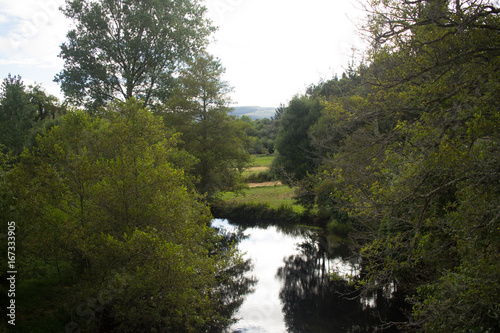 river in forest © Giovanni