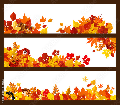 Autumn leaf, mushroom and berry banner border