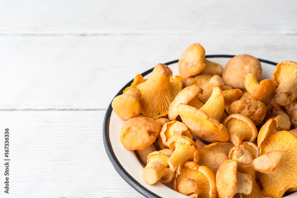 Raw mushrooms chanterelle in plate on white wooden background. Raw mushrooms chanterelle in plate on white wooden background.