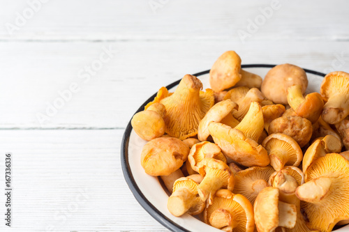 Raw mushrooms chanterelle in plate on white wooden background.