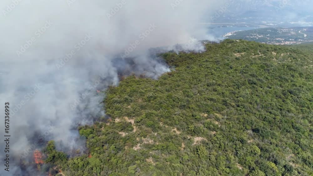 aerial view of burning bushes in the hills aerial view of burning bushes in the hills