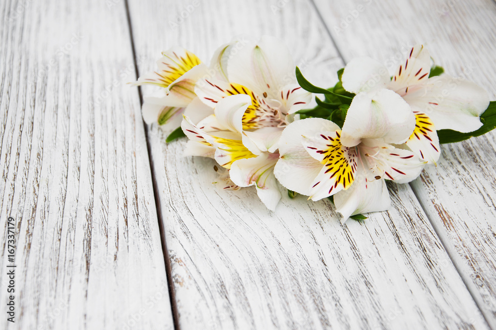 Fototapeta premium alstroemeria flowers on a table