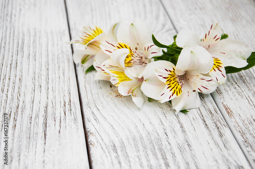 alstroemeria flowers on a table