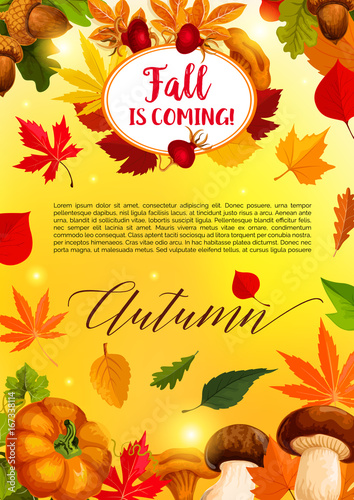 Autumn leaf and harvest vegetable banner template