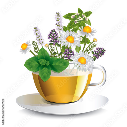 Herbal tea in a transparent cup with aromatic herbs, a conceptual idea for the label
